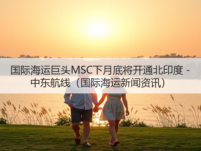 国际海运巨头MSC下月底将开通北印度 - 中东航线（国际海运新闻资讯）(图3)