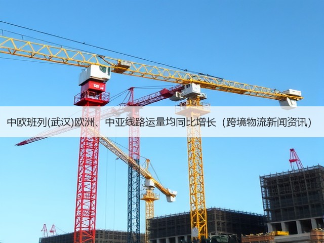 中欧班列(武汉)欧洲、中亚线路运量均同比增长(跨境物流新闻资讯)(图3) 中欧班列(武汉)欧洲、中亚线路运量均同比增长(跨境物流新闻资讯)(图3)
