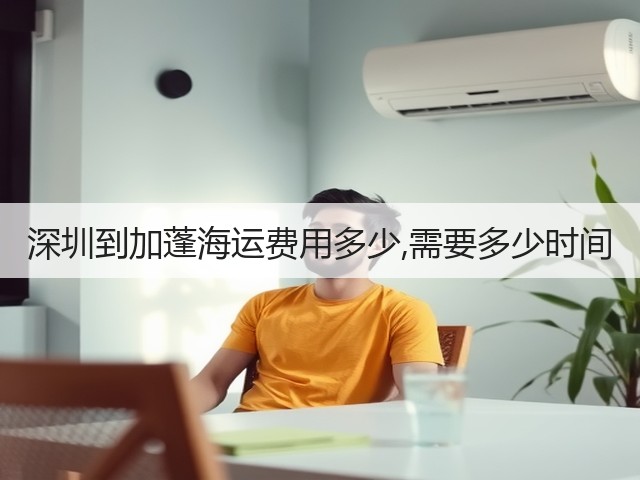 深圳到加蓬海运费用多少,需要多少时间(图2)
