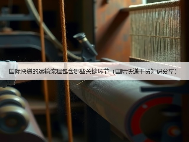 国际快递的运输流程包含哪些关键环节(国际快递干货知识分享)(图3) 国际快递的运输流程包含哪些关键环节(国际快递干货知识分享)(图3)