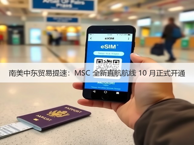 南美中东贸易提速:MSC 全新直航航线 10 月正式开通(图3) 南美中东贸易提速:MSC 全新直航航线 10 月正式开通(图3)