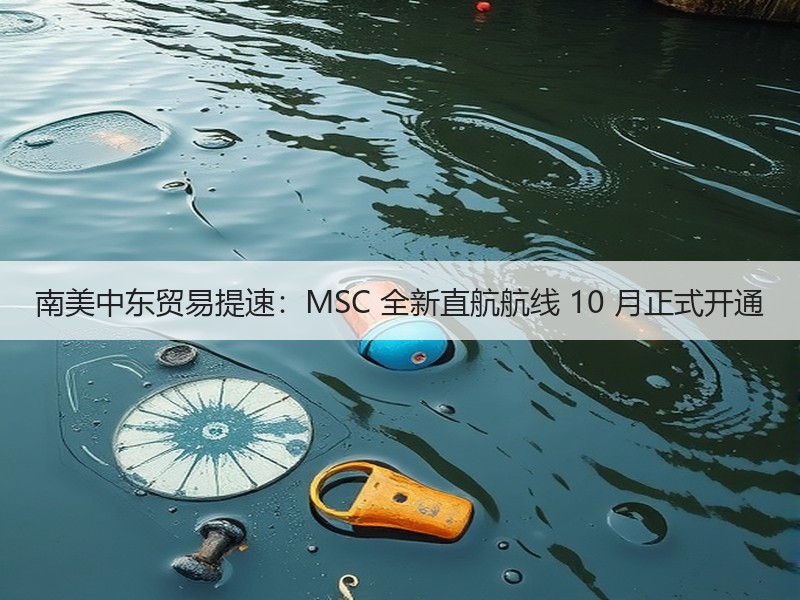 南美中东贸易提速:MSC 全新直航航线 10 月正式开通 南美中东贸易提速:MSC 全新直航航线 10 月正式开通