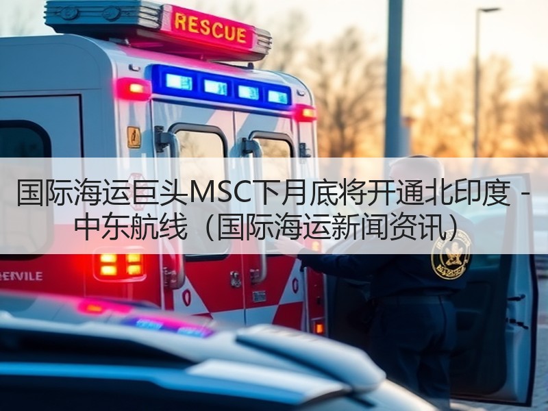 国际海运巨头MSC下月底将开通北印度 - 中东航线（国际海运新闻资讯）