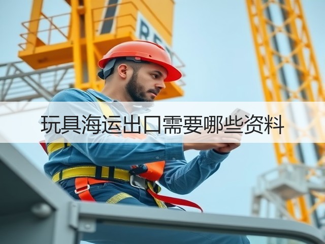 玩具海运出口需要哪些资料(图3) 玩具海运出口需要哪些资料(图3)