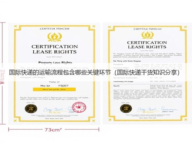 国际快递的运输流程包含哪些关键环节(国际快递干货知识分享)(图1) 国际快递的运输流程包含哪些关键环节(国际快递干货知识分享)(图1)