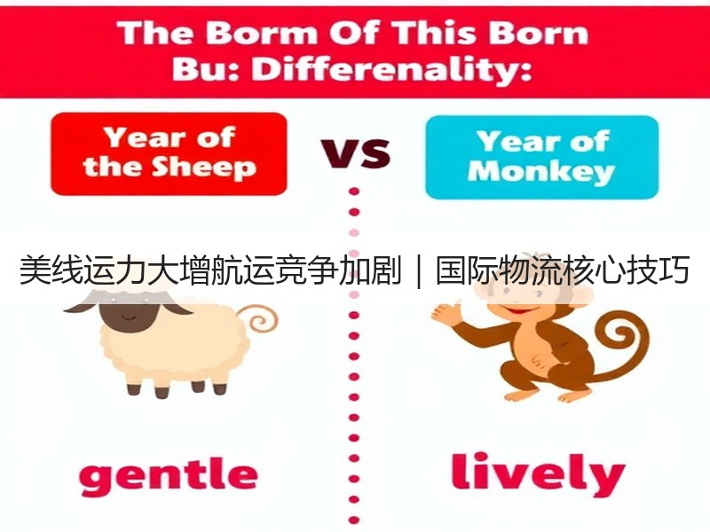 美线运力大增航运竞争加剧|国际物流核心技巧 美线运力大增航运竞争加剧|国际物流核心技巧