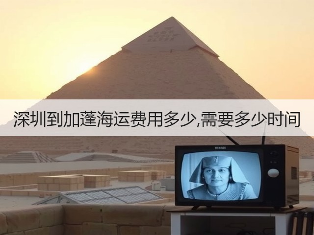 深圳到加蓬海运费用多少,需要多少时间(图3)