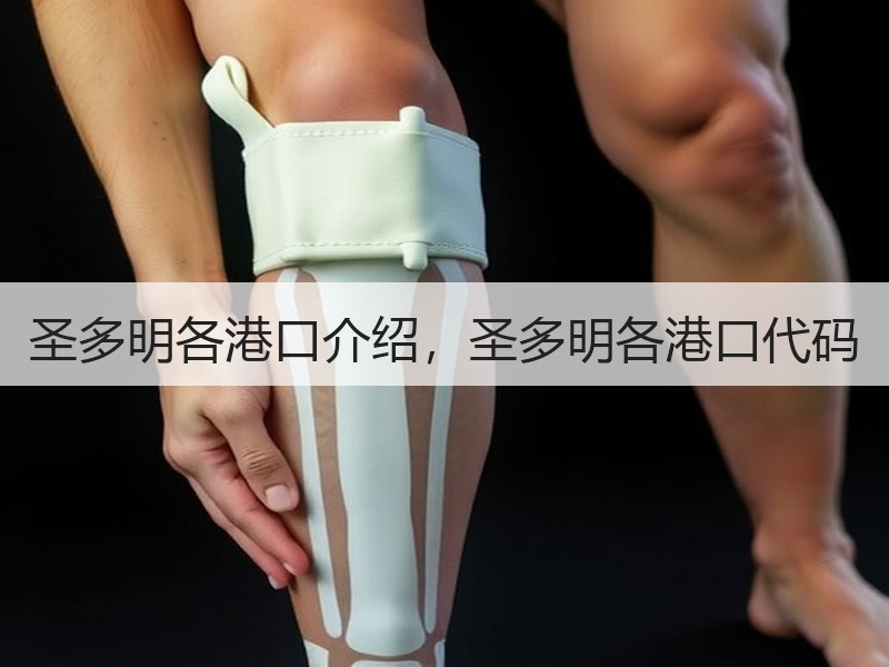 圣多明各港口介绍，圣多明各港口代码