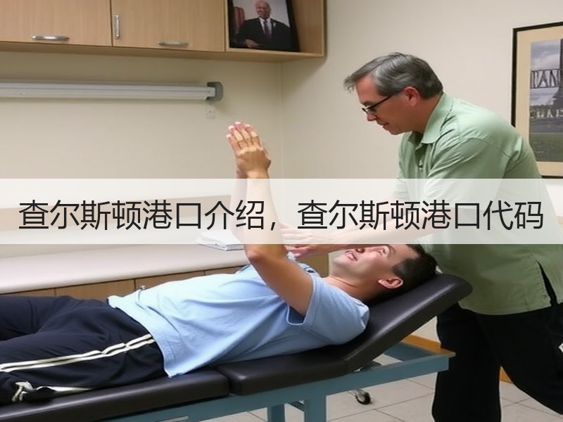 查尔斯顿港口介绍，查尔斯顿港口代码