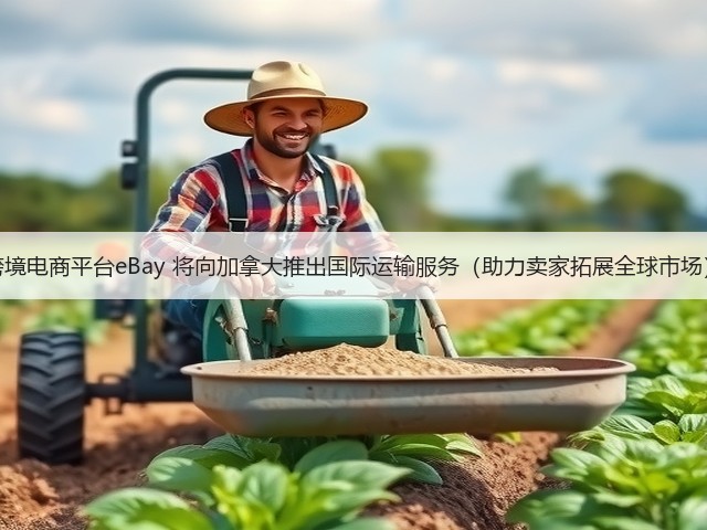 跨境电商平台eBay 将向加拿大推出国际运输服务（助力卖家拓展全球市场）(图3)