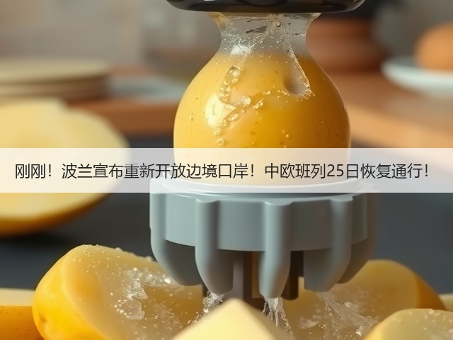 刚刚！波兰宣布重新开放边境口岸！中欧班列25日恢复通行！(图1)
