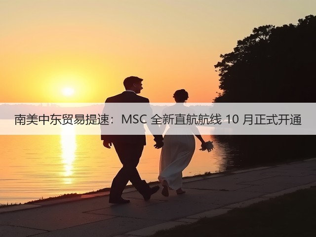 南美中东贸易提速:MSC 全新直航航线 10 月正式开通(图3) 南美中东贸易提速:MSC 全新直航航线 10 月正式开通(图3)