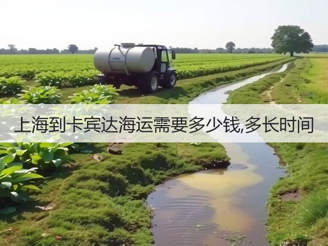 上海到卡宾达海运需要多少钱,多长时间(图3) 上海到卡宾达海运需要多少钱,多长时间(图3)