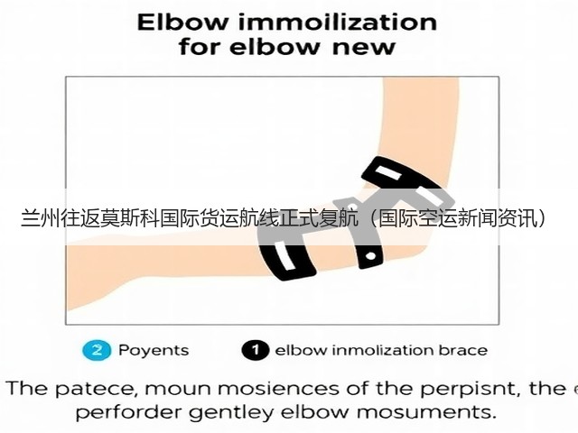 兰州往返莫斯科国际货运航线正式复航(国际空运新闻资讯)(图2) 兰州往返莫斯科国际货运航线正式复航(国际空运新闻资讯)(图2)