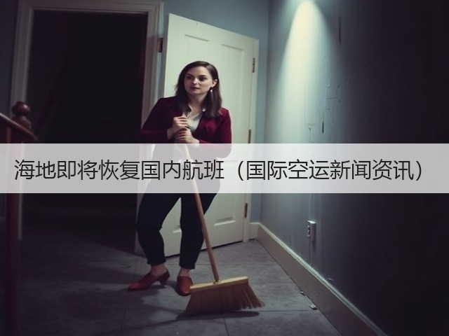 海地即将恢复国内航班（国际空运新闻资讯）(图3)