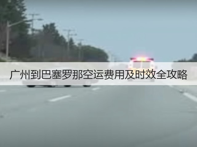 广州到巴塞罗那空运费用及时效全攻略(图2)
