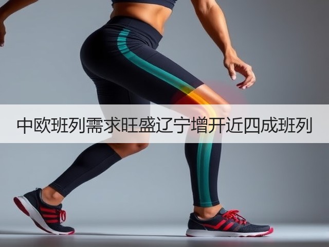 中欧班列需求旺盛辽宁增开近四成班列(图1) 中欧班列需求旺盛辽宁增开近四成班列(图1)