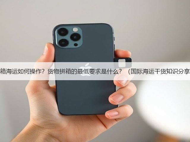 拼箱海运如何操作？货物拼箱的最低要求是什么？（国际海运干货知识分享）(图3)