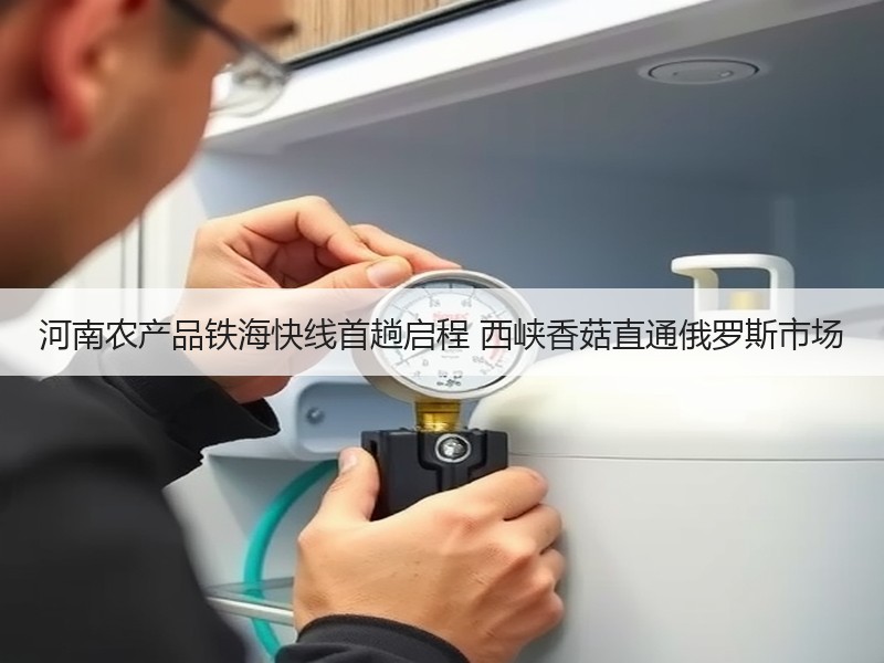 河南农产品铁海快线首趟启程 西峡香菇直通俄罗斯市场