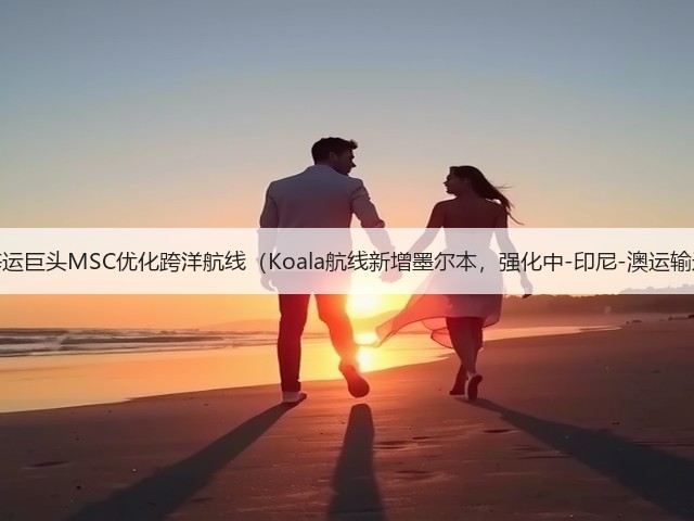 国际海运巨头MSC优化跨洋航线(Koala航线新增墨尔本,强化中-印尼-澳运输通道)(图3) 国际海运巨头MSC优化跨洋航线(Koala航线新增墨尔本,强化中-印尼-澳运输通道)(图3)