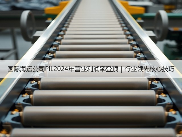 国际海运公司PIL2024年营业利润率登顶|行业领先核心技巧(图3) 国际海运公司PIL2024年营业利润率登顶|行业领先核心技巧(图3)
