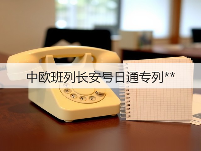 中欧班列长安号日通专列**(图1)