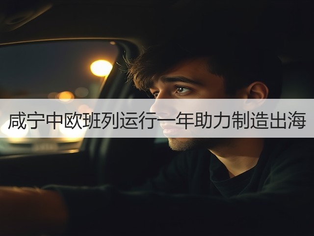咸宁中欧班列运行一年助力制造出海(图1)