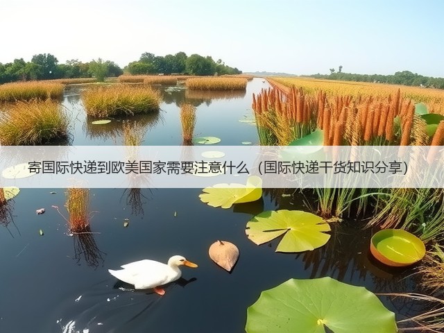 寄国际快递到欧美国家需要注意什么(国际快递干货知识分享)(图3) 寄国际快递到欧美国家需要注意什么(国际快递干货知识分享)(图3)