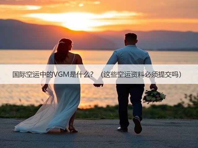 国际空运中的VGM是什么?(这些空运资料必须提交吗)(图1) 国际空运中的VGM是什么?(这些空运资料必须提交吗)(图1)