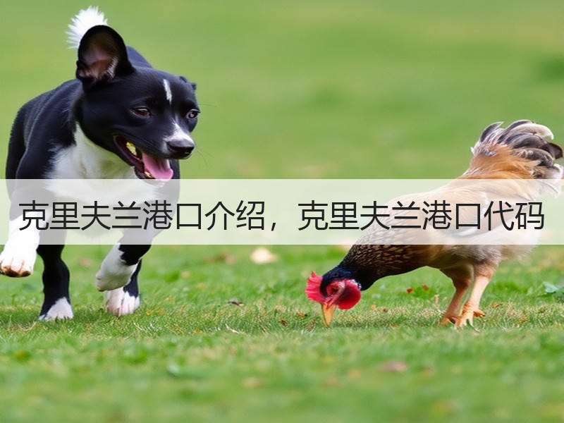 克里夫兰港口介绍，克里夫兰港口代码