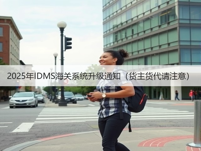 2025年IDMS海关系统升级通知(货主货代请注意)(图2) 2025年IDMS海关系统升级通知(货主货代请注意)(图2)