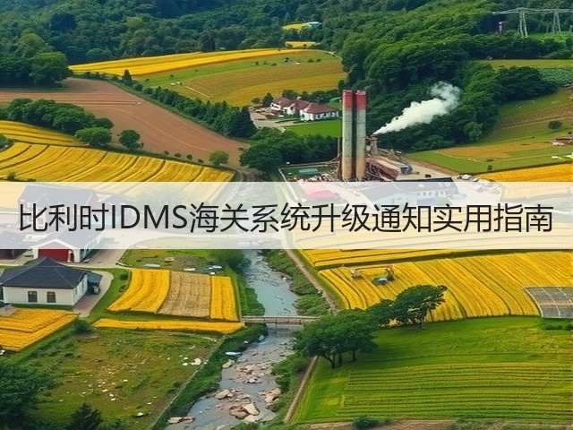 比利时IDMS海关系统升级通知实用指南(图3) 比利时IDMS海关系统升级通知实用指南(图3)