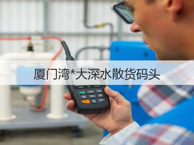 厦门湾*大深水散货码头(图3)