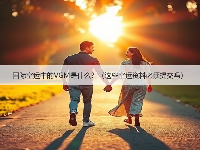 国际空运中的VGM是什么?(这些空运资料必须提交吗)(图2) 国际空运中的VGM是什么?(这些空运资料必须提交吗)(图2)