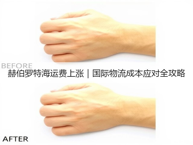赫伯罗特海运费上涨|国际物流成本应对全攻略(图3) 赫伯罗特海运费上涨|国际物流成本应对全攻略(图3)