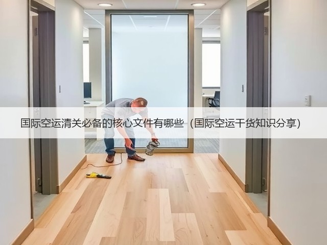 国际空运清关必备的核心文件有哪些(国际空运干货知识分享)(图3) 国际空运清关必备的核心文件有哪些(国际空运干货知识分享)(图3)