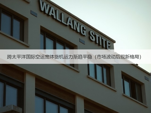 跨太平洋国际空运宽体货机运力渐趋平稳(市场波动后现新格局)(图2) 跨太平洋国际空运宽体货机运力渐趋平稳(市场波动后现新格局)(图2)