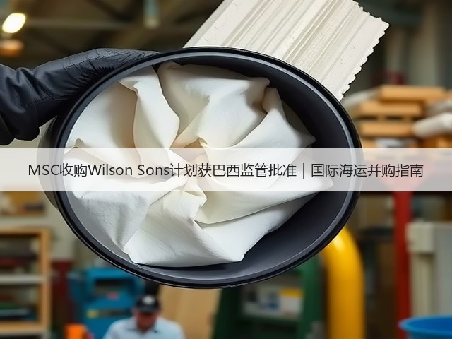 MSC收购Wilson Sons计划获巴西监管批准|国际海运并购指南(图3) MSC收购Wilson Sons计划获巴西监管批准|国际海运并购指南(图3)