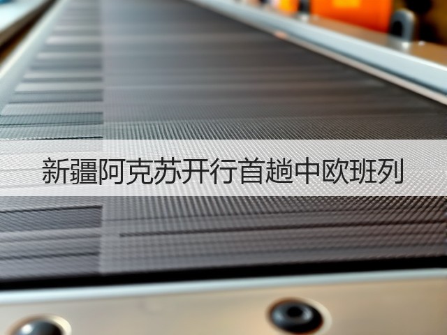 新疆阿克苏开行首趟中欧班列(图2) 新疆阿克苏开行首趟中欧班列(图2)