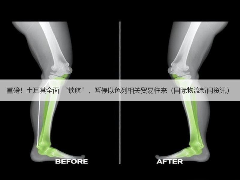 重磅！土耳其全面 “锁航”，暂停以色列相关贸易往来（国际物流新闻资讯）
