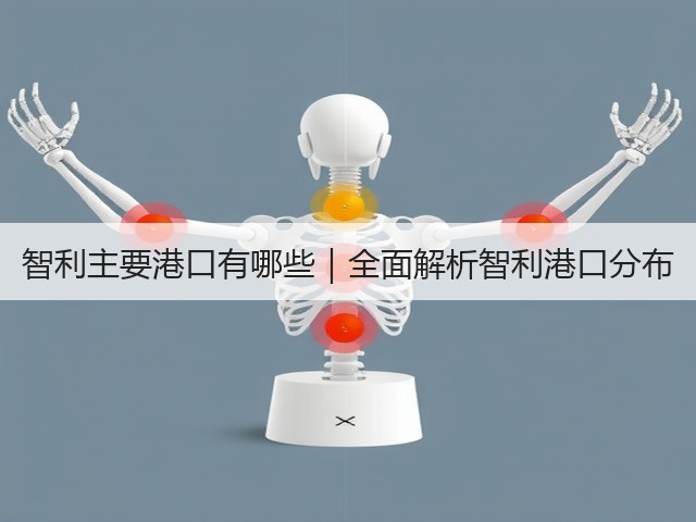 智利主要港口有哪些|全面解析智利港口分布(图2) 智利主要港口有哪些|全面解析智利港口分布(图2)