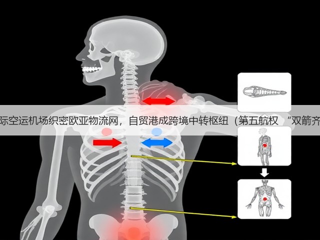 海口国际空运机场织密欧亚物流网,自贸港成跨境中转枢纽(第五航权 “双箭齐发”)(图1) 海口国际空运机场织密欧亚物流网,自贸港成跨境中转枢纽(第五航权 “双箭齐发”)(图1)