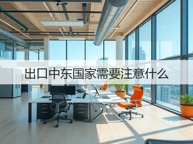 出口中东国家需要注意什么(图2) 出口中东国家需要注意什么(图2)