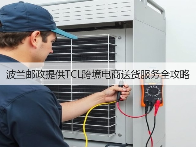 波兰邮政提供TCL跨境电商送货服务全攻略(图3) 波兰邮政提供TCL跨境电商送货服务全攻略(图3)