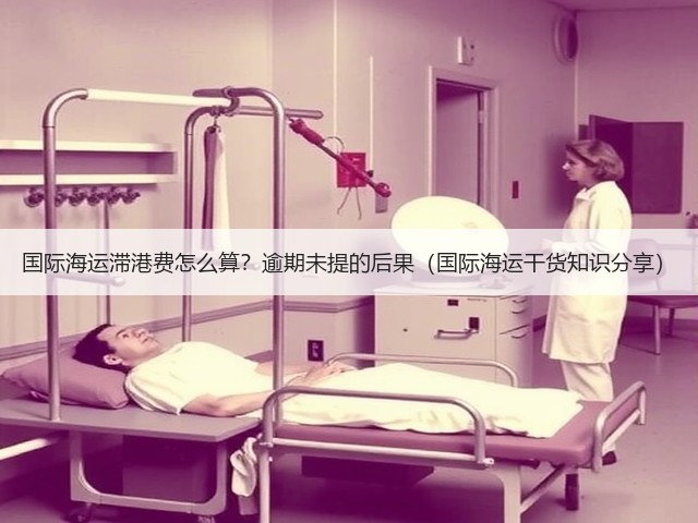 国际海运滞港费怎么算?逾期未提的后果(国际海运干货知识分享)(图1) 国际海运滞港费怎么算?逾期未提的后果(国际海运干货知识分享)(图1)