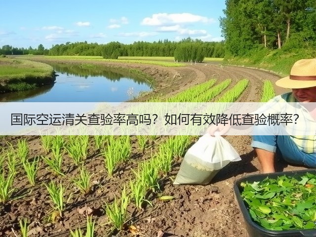 国际空运清关查验率高吗?如何有效降低查验概率?(图2) 国际空运清关查验率高吗?如何有效降低查验概率?(图2)