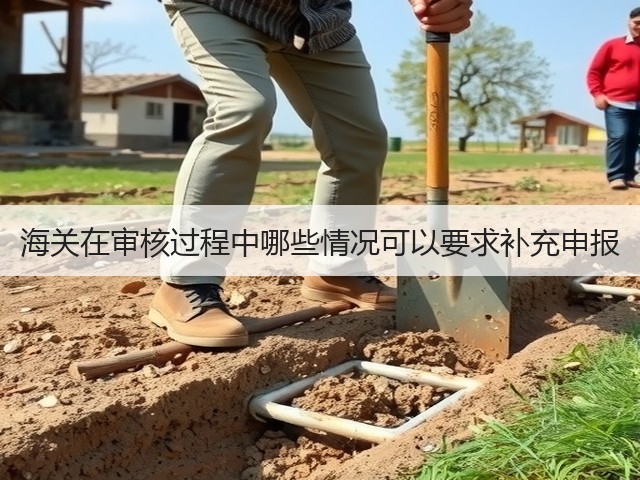 海关在审核过程中哪些情况可以要求补充申报(图3) 海关在审核过程中哪些情况可以要求补充申报(图3)