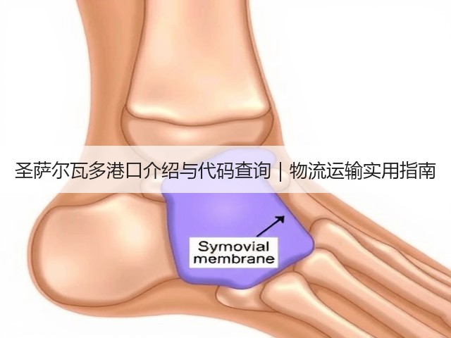 圣萨尔瓦多港口介绍与代码查询|物流运输实用指南(图1) 圣萨尔瓦多港口介绍与代码查询|物流运输实用指南(图1)