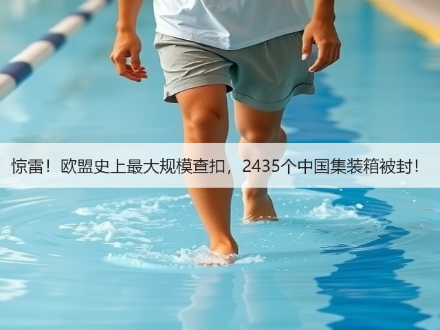 惊雷!欧盟史上最大规模查扣,2435个中国集装箱被封!(图3) 惊雷!欧盟史上最大规模查扣,2435个中国集装箱被封!(图3)