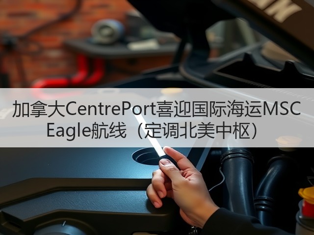 加拿大CentrePort喜迎国际海运MSC Eagle航线(定调北美中枢)(图1) 加拿大CentrePort喜迎国际海运MSC Eagle航线(定调北美中枢)(图1)
